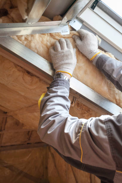 Professional Insulation Contractor in Highland Park, MI